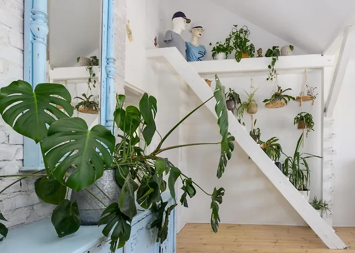 Vintage Na Kamiennej Gorze Apartman *